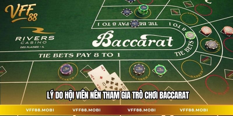 Lý do hội viên nên tham gia trò chơi Baccarat