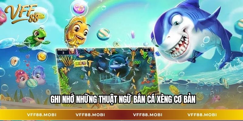 Ghi nhớ những thuật ngữ bắn cá xèng cơ bản