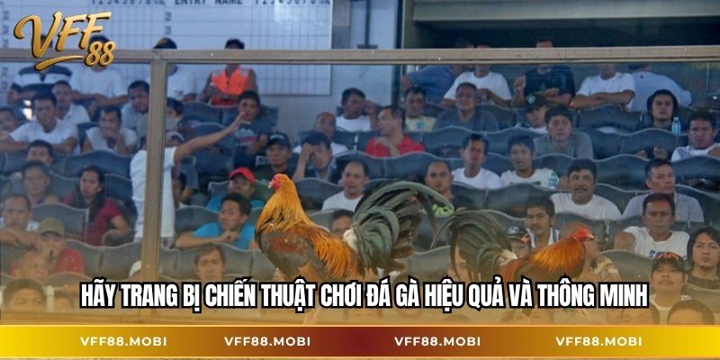 Hãy trang bị chiến thuật chơi đá gà hiệu quả và thông minh