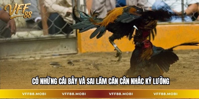 Có những cái bẫy và sai lầm cần cân nhắc kỹ lưỡng