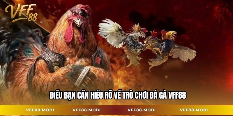 Điều bạn cần hiểu rõ về trò chơi đá gà VFF88
