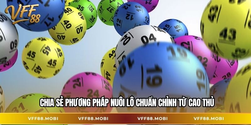 Chia sẻ phương pháp nuôi lô chuẩn chỉnh từ cao thủ