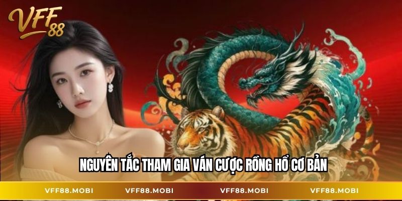 Nguyên tắc tham gia ván cược Rồng Hổ cơ bản
